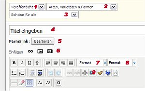 blog-anleitung_